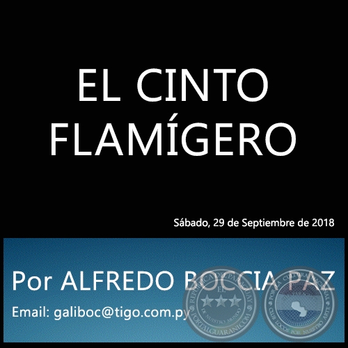 EL CINTO FLAMÍGERO - Por ALFREDO BOCCIA PAZ - Sábado, 29 de Septiembre de 2018